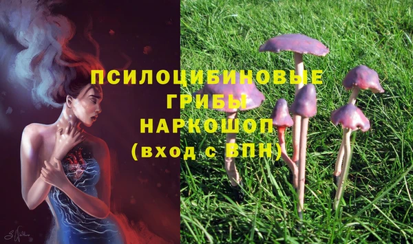 дурь Баксан