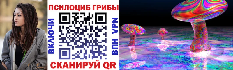 Галлюциногенные грибы прущие грибы  omg вход  Владивосток  закладка 